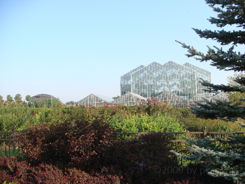 Western Michigan [2009] 093.JPG - Scenes from Frederik Meijer Gardens & Sculpture Park.